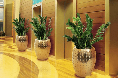仿真植物墙01
